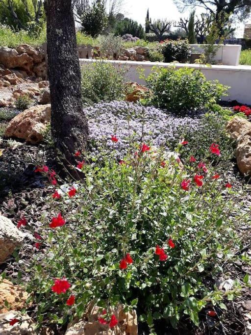 Maison 2 Ou 4 Personnes Jardin Parking Les Amandiers لورج المظهر الخارجي الصورة